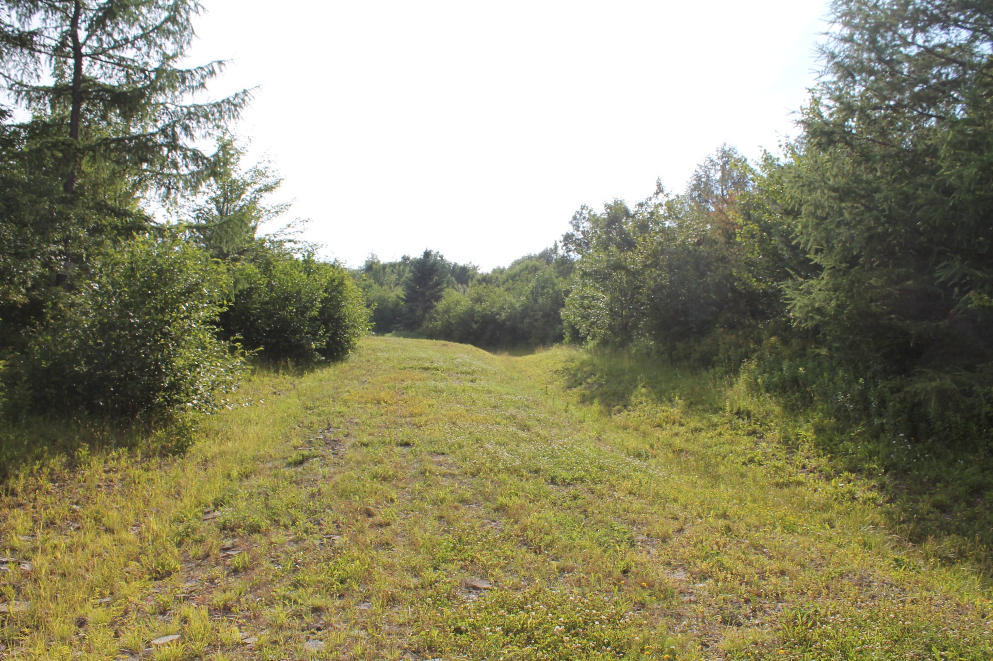 Raw Land Reiss Country Properties